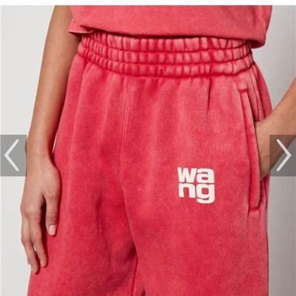 ALEXANDERWANG.T joggers - Picture 2 of 11